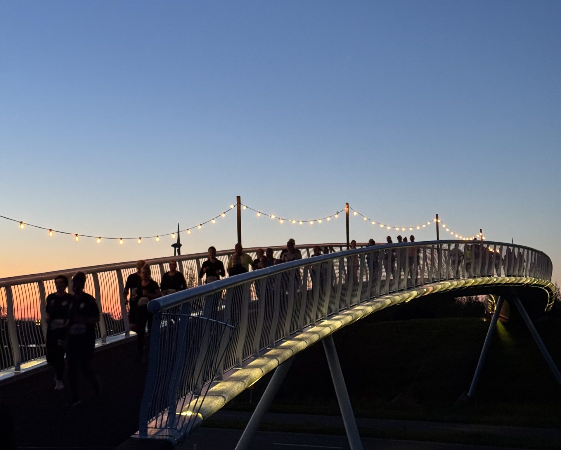 IMG 7125 scaled e1773227445564